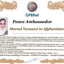 Meet our Global Peace Building team and contact for cooperation Mursal Tarawat in Afghanistan