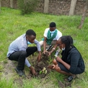 Our Peace Ambassador Cliv Donnley plant 350 seeds today with Kenia Peace Building Team ???????? Will you plant a tree this spring?<br /><br />Hello Peace makers how are you today please reply. I’m so happy to announce you New Global Peace Building Network initiative - Plant a Tree to Stop Global Warming - with a goal to plant 1 billion+ trees.<br /><br />Please join this very important initiative and plant trees and make clean the waste ecological project this spring yourself, with your team and organizations. Also to raise up to the next level as Ambassador for Peace please pass announcement below to your ministers of education that their schools and universities will join, local authorities, government and your president.<br /><br />New Global Peace Building Network initiative - Plant a Tree to Stop Global Warming - with a goal to plant and raise 1 billion+ trees till 2027 is looking for Partners Globally from all fields of life: Business, Government, Nonprofits, Churches, Sports, Culture, Science, Health, Arts, Education etc. organizations, also individuals: governors, mayors, local leaders, police, military personnel, as well as local residents, volunteers and youth clubs are more than welcome to partner.<br /><br />Partners will plant trees by their homes, parks, schools, urban areas, rural areas, farms or national forests etc. Planting trees is a simple thing everyone can do to reduce carbon dioxide, a principal greenhouse gas that contributes to global warming.<br /><br />Partners are also welcomed to make more additional eco projects to clean the planet from the waste.<br /><br />Video Presentation https://youtu.be/dhBCAp_6w1c<br /><br />No matter where you live, you can plant trees and take a proactive, positive step toward keeping our planet healthy. As trees grow they absorb carbon dioxide (CO2), the main ‘greenhouse gas’ responsible for global warming, thereby reducing the concentration of this gas in the atmosphere. Planting trees can help much in reducing global warming than any other method. Plant a tree is the best from any perspective:<br /><br />-science, planting trees is hugely beneficial to the world in the face of accelerating climate change.<br /><br />There is now a strong international scientific consensus that human activity is causing global warming.<br /><br />-At a local level, tree-planting on deforested lands creates further environmental benefits. Forests play a vital role in regulating water supplies, helping to minimize both water shortages in times of drought and damaging floods in heavy rains.<br /><br />- Religion: John 14:23 Jesus: “Anyone who loves me will obey my teaching. My Father will love them, and we will come to them and make our home with them. “The three greatest challenges of modern society are solving pollution problems, creating a consciousness for protecting the environment, and increasing food production. If any one of these is neglected, humanity will become extinct. “, “Religious people must lead the way in the effort to save nature. Nature is God’s creation and His gift to humankind. We must work quickly to awaken people to the preciousness of nature and the urgent need to restore it to the rich and free state it enjoyed at the time of Creation.” Reverend Sun Myung Moon<br /><br />-Socio-economic benefits of reforestation projects include direct employment, infrastructure development, skills-transfer and the creation of markets for related products and services.<br /><br />Please join the initiative this spring and after project please send to us irffmd@gmail.com your reports, photo and video and post it on our International Plant a Tree to Stop Global Warming Page too https://www.facebook.com/plantatreestopglobalwarming<br /><br />Also you could join with a sponsorships or donations: Sending donations by Bank wire etc. to GPBNet https://ivacademy.net<br /><br />Let's work together to pass a clean and green planet to our descendants!!!<br /><br />Thank you very much and for any questions contact global activist Nicolae Cirpala WatsApp t.+7 981 130 83 85